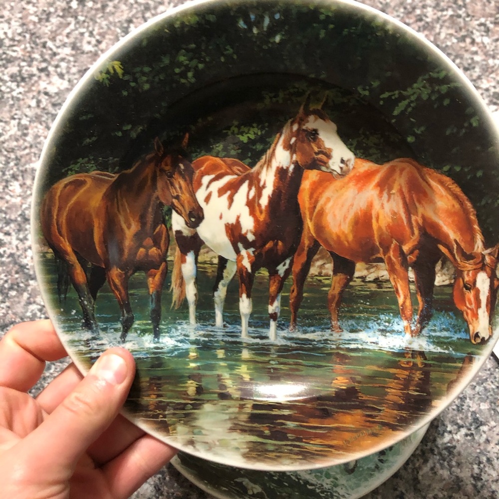 Set of 2 Cypress horse plates